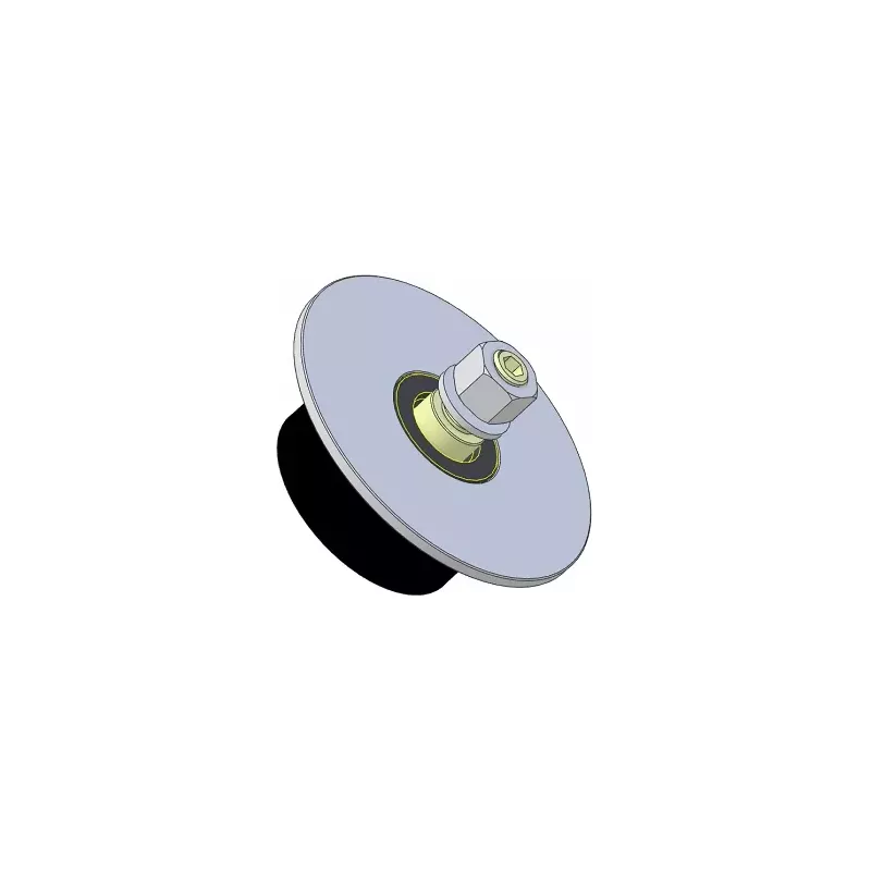 Rol nr. 315 – staal-rubberen steunrol Ø80 mm voor machines van Guaresi | OEM Guaresi P7755190000 | fabrikant KiJ