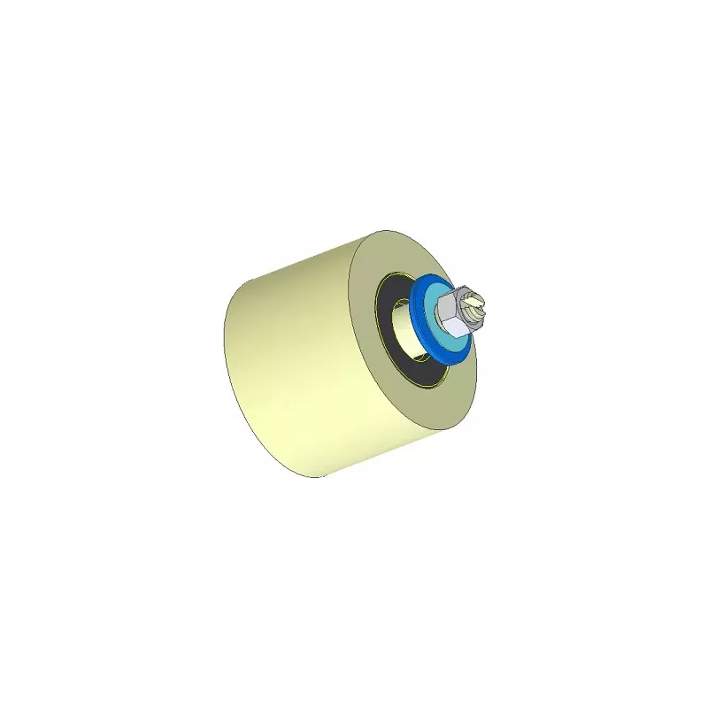 Rol nr. 293 – kunststof steunrol Ø80 mm voor machines van Dewulf | OEM Dewulf 2660226 | fabrikant KiJ