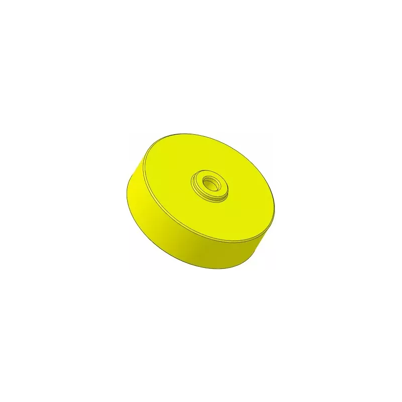 Rol nr. 317 – kunststof rol Ø100 mm voor machines van Guaresi | OEM Guaresi P7755190000 | fabrikant KiJ